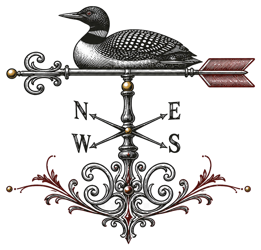 Loon weathervane ornament, transparent cutout