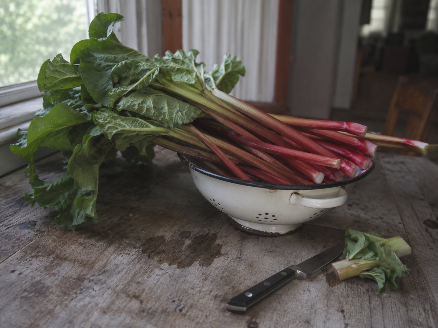 The Klatch: The Longest Day, a Parade Finally Had, and Still More Rhubarb photo