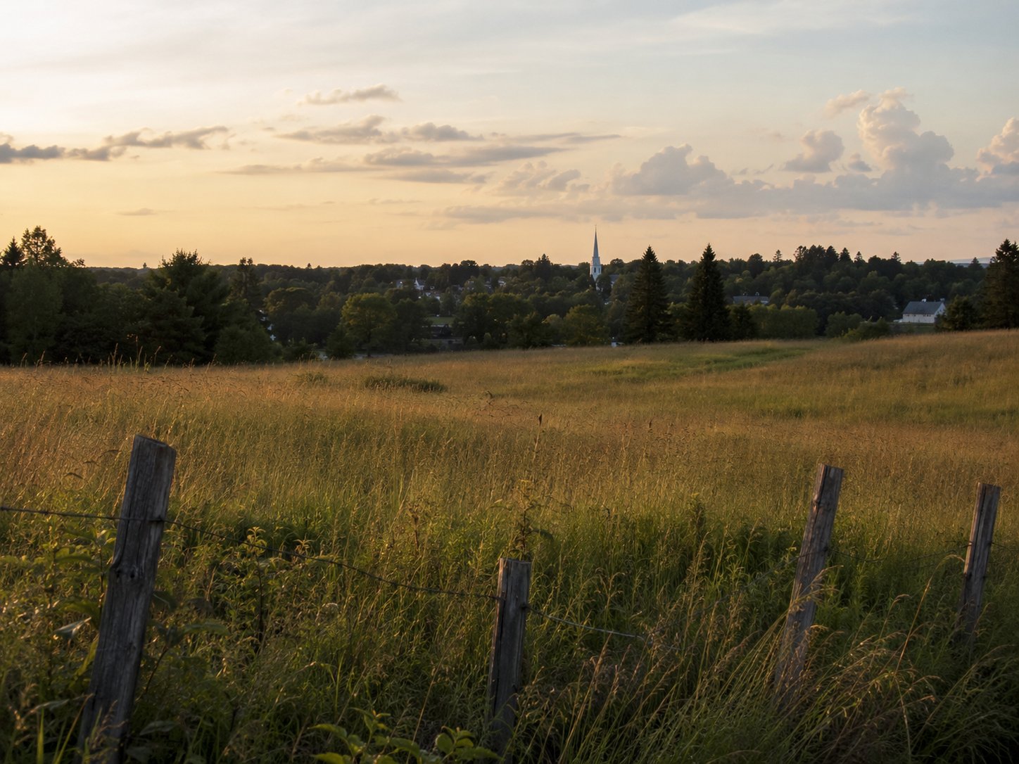 Council Approves Brewery, Sends Sign to Fall; the Hagen Hearing Is Tonight photo