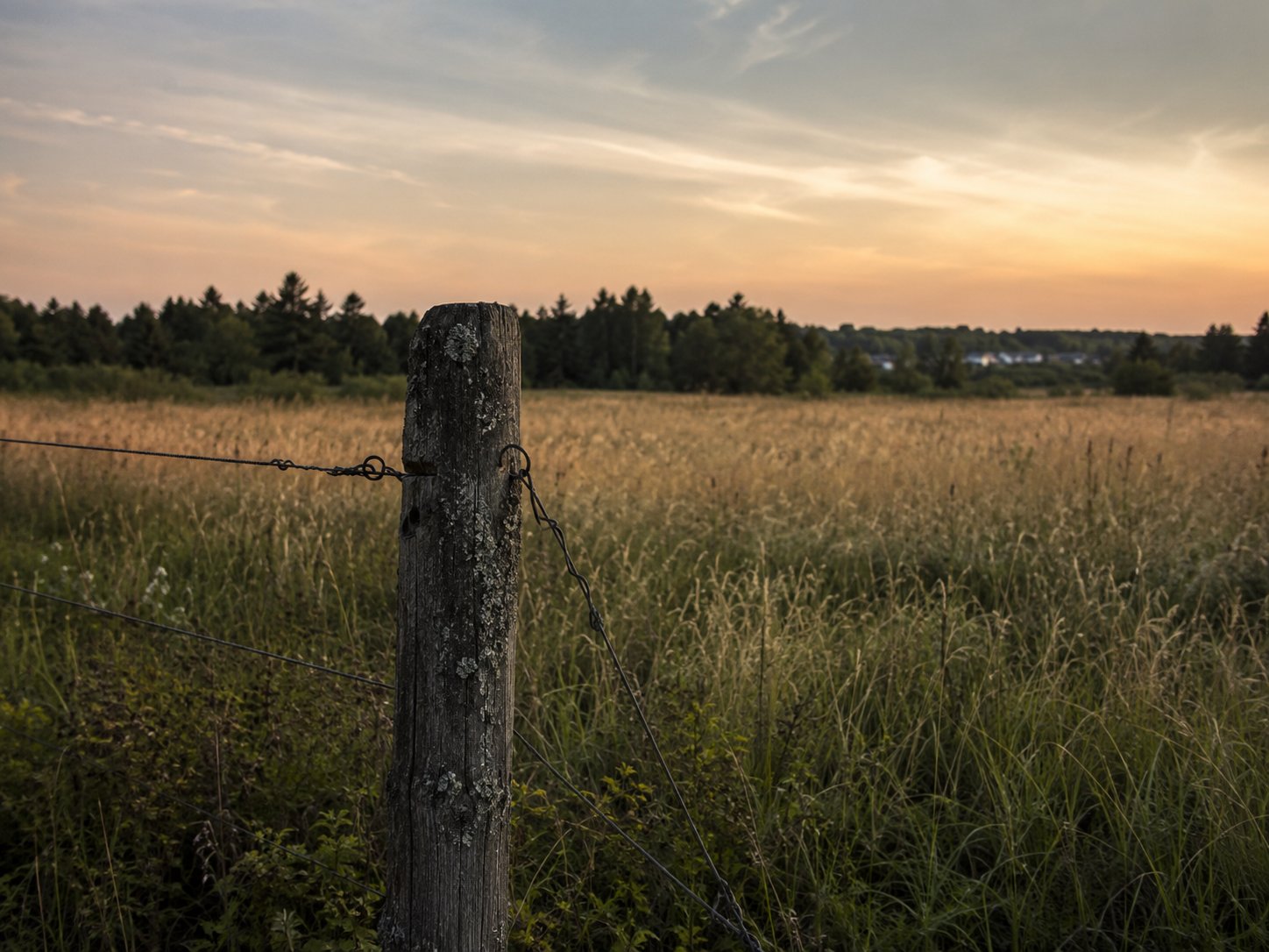 Our View: The Pasture, the Town, and the Question Under the Question photo