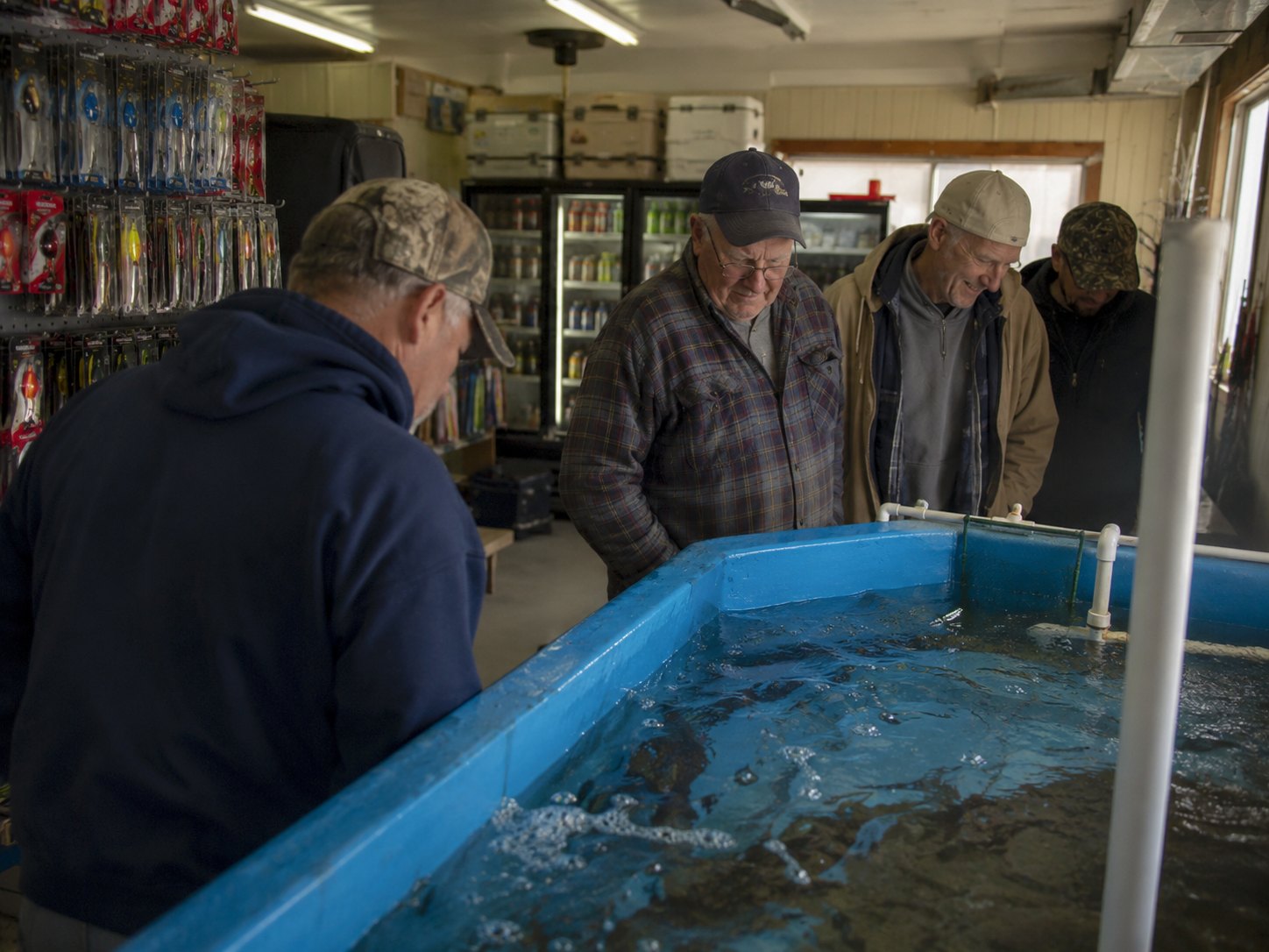 Customers inspect the new minnow tank at Tim’s Bait & Liquor, which has already drawn favorable murmurs.